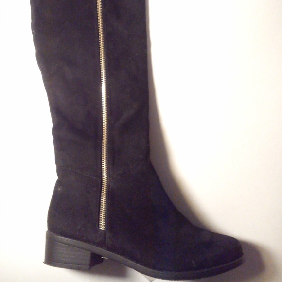 Falabella Americanino - Picture 3 of 8